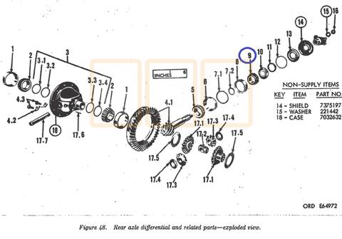 Differential Bearing