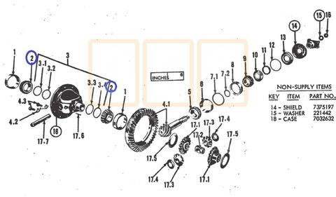 Rear Axle Differential Bearing