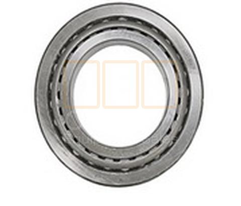 Differential Pinion Bearing