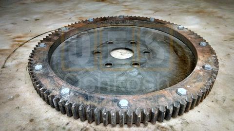Flywheel Flex Plate and Ring Gear Assembly