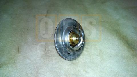 Cooling System Thermostat